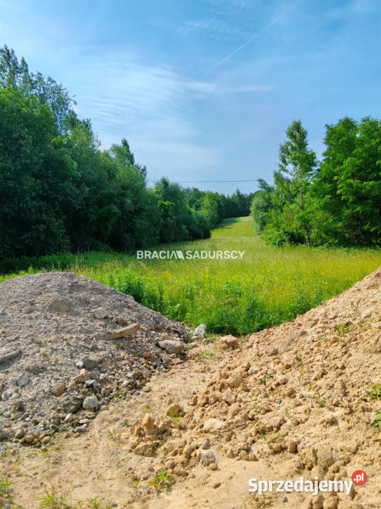Grunt Bodzanów 18000m2 małopolskie sprzedam