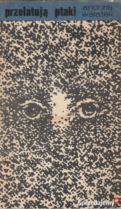 przelatują ptaki A Walatek Puławy