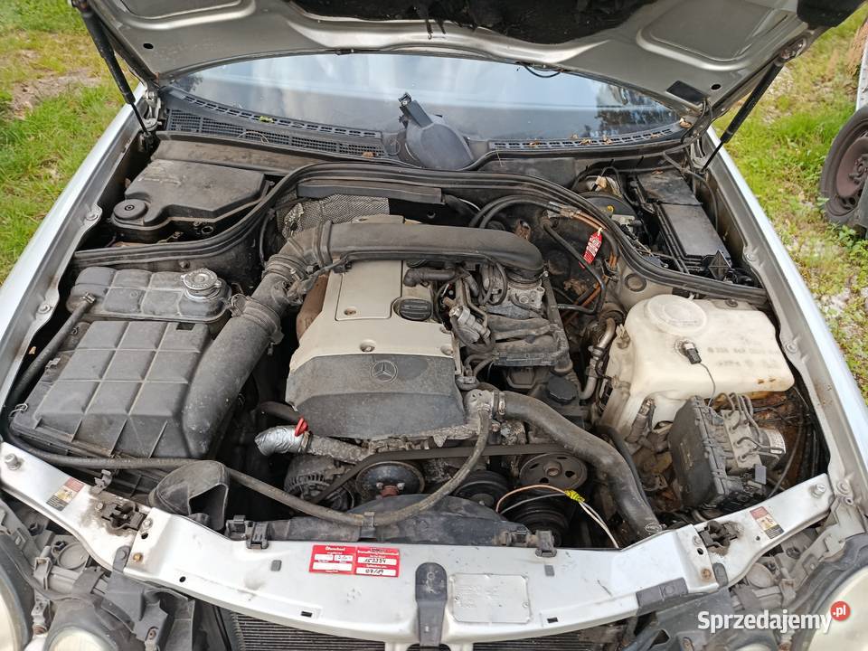 MercedesBenz CLK 200 20 100 kW 1999 r dawca Szklarka Myślniewska