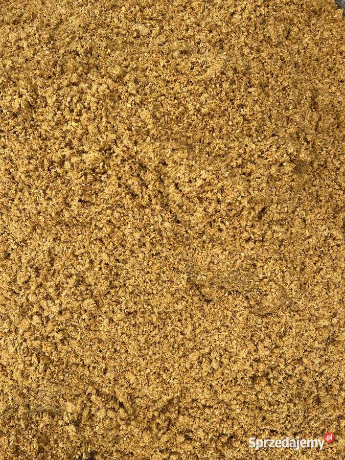 Wyslodki buraczane belowane Cieszyn sprzedam