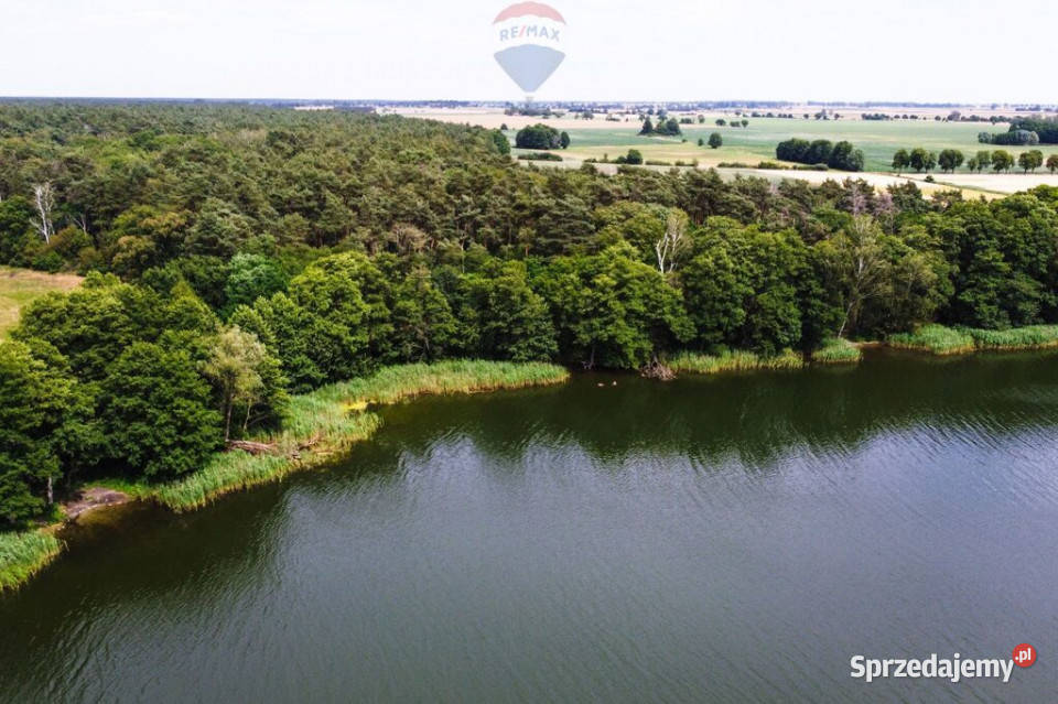 Działka jeziorze Pniew Buszewo