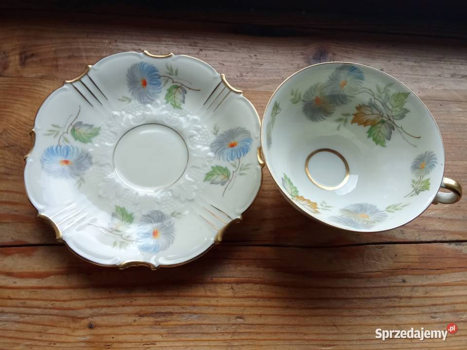 Filiżanka Spray Casterns Prusim