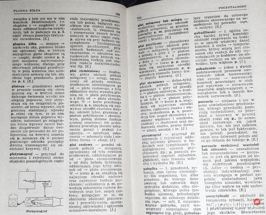 Mały słownik psychologiczny J Ekel J Jaroszyński Chełm