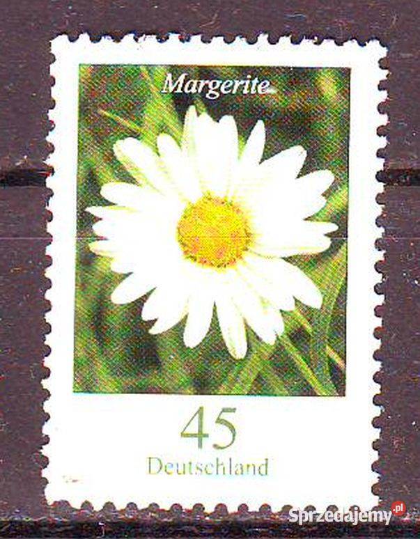 Zn RFN wykaz w opisie kas 2005 Gliwice