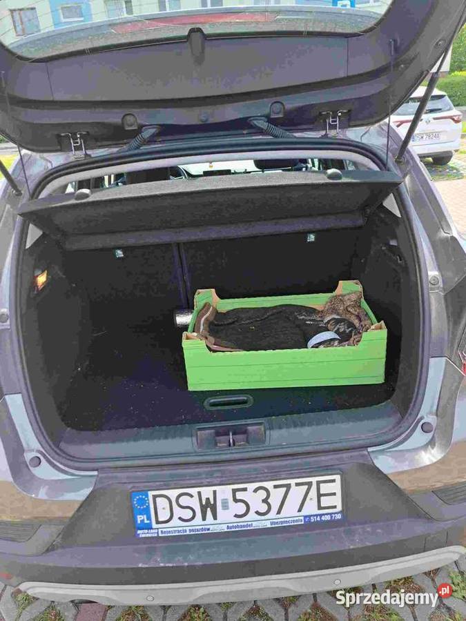 Renault Captur 2 10 TCe Intens BENZYNAGAZ benzyna+LPG Świdnica