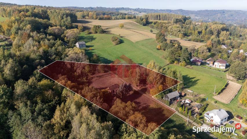 sprzedaży domu wolnostojącego 66m2 Gumniska 2560zł/m2