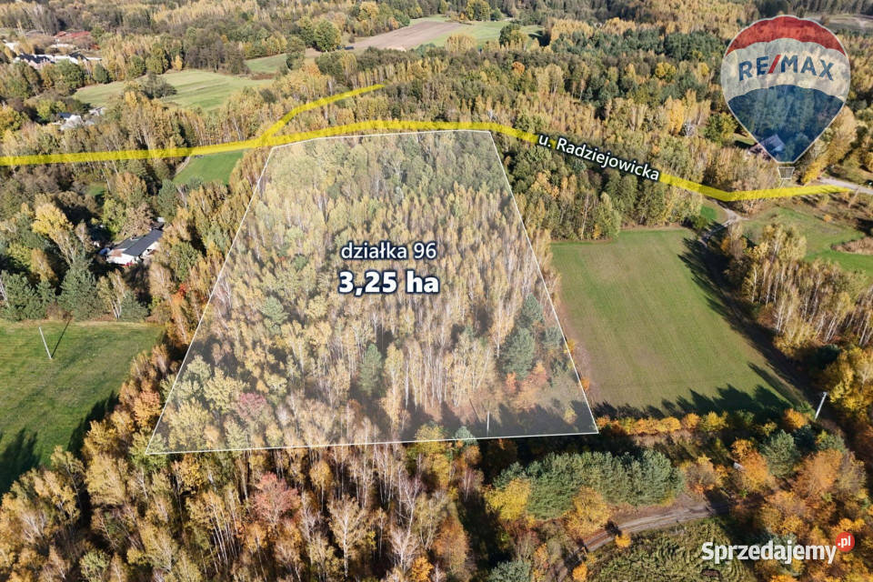 325ha wśród lasów Budy Michałowskie mazowieckie sprzedam