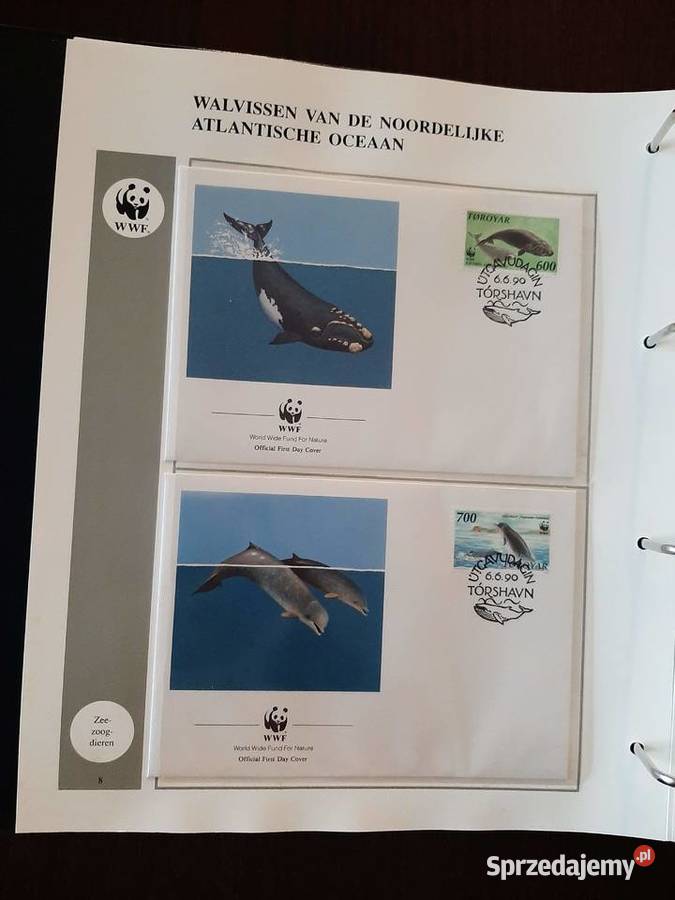 World WWF Kolekcja w specjalnych albumach Konin