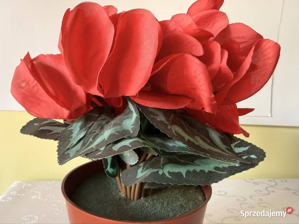 Sztuczny Kwiat Fiołek Alpejski Cyklamen Czerwony śląskie Czerwionka-Leszczyny