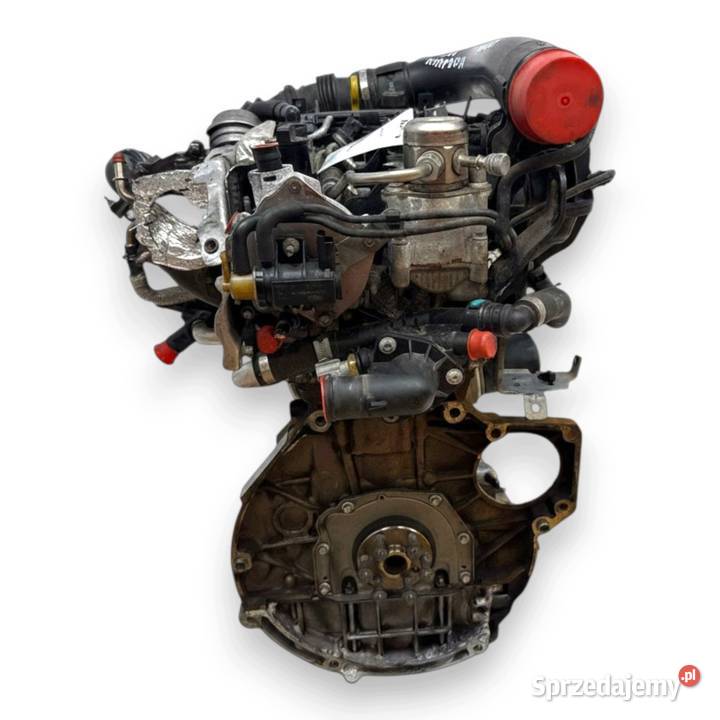 SILNIK M1DA Ford Focus III MK3 C C II 10 Silniki kompletne Chełm
