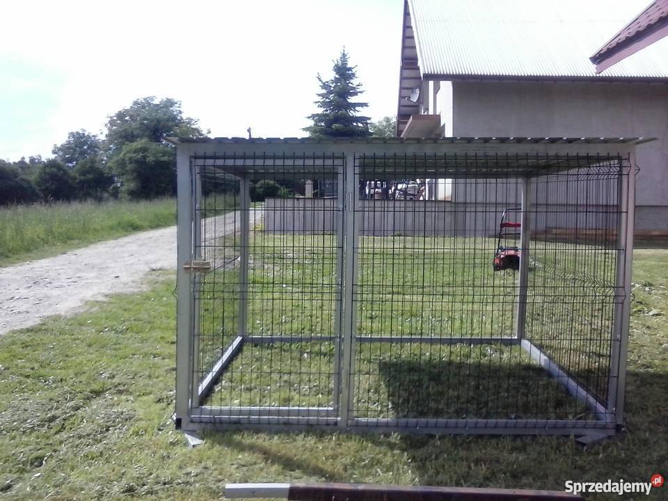 kojec psa nowy Nowy Sącz