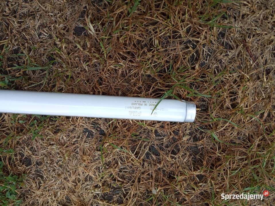 sprzedam jarzeniówki Kraków