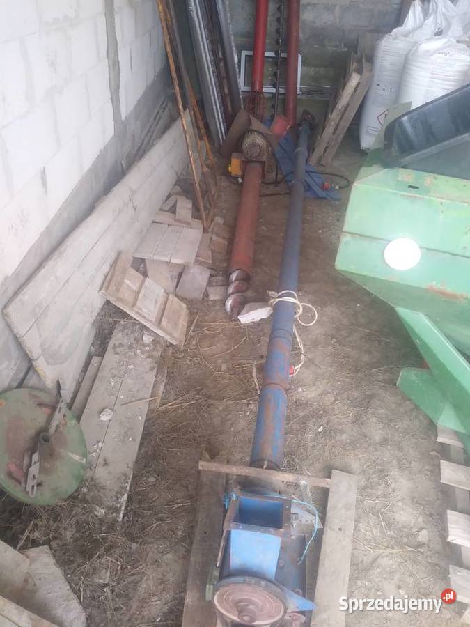 Zmijka przenosnik slimakowy Pamiętowo