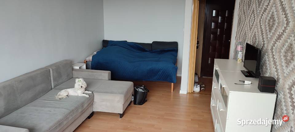 Gdansk Oliwa 304 m2 kawalerka Gdańsk