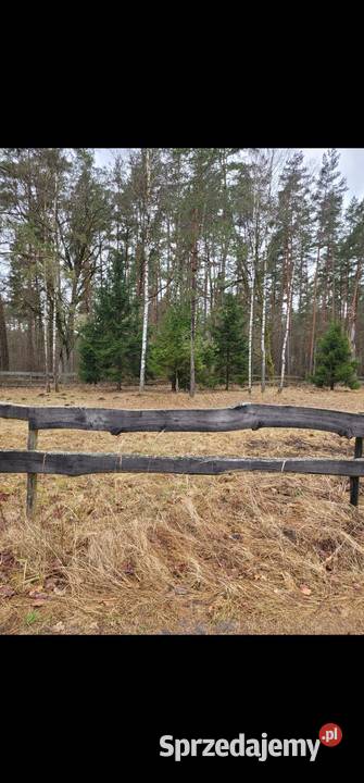 Budowlana ulicy prąd woda lasy Borki Wielbarskie