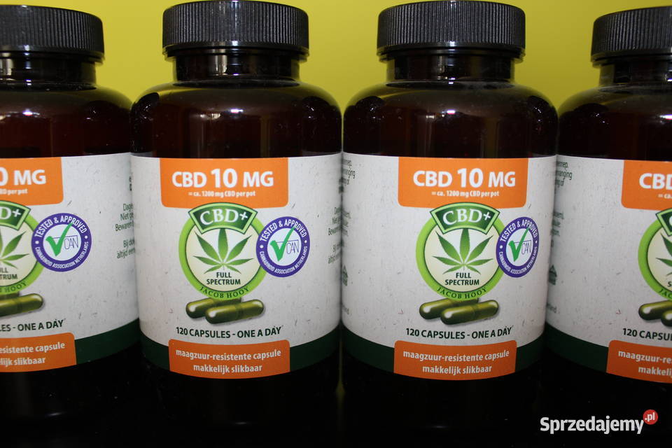 Jacob Hooy CBD 10mg 120 Kapsułek łódzkie Łódź