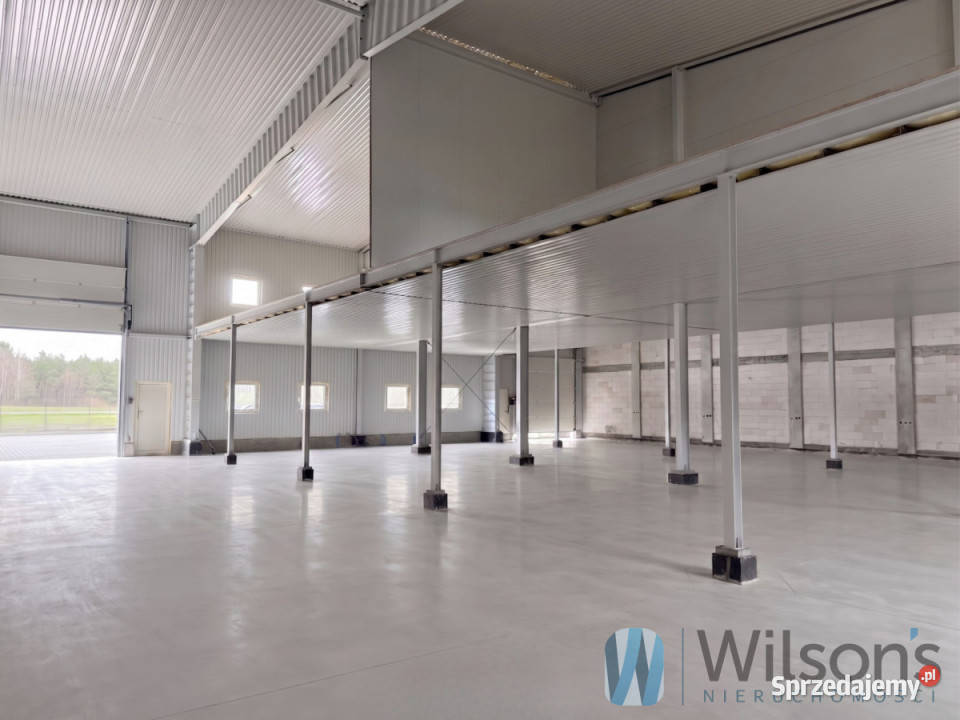 Lokal Stara Wieś 450m2 magazyn Sprzedaż