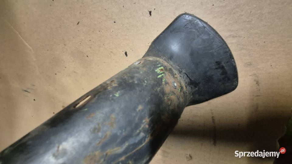 Komar błotnik podlaskie Hryniewicze