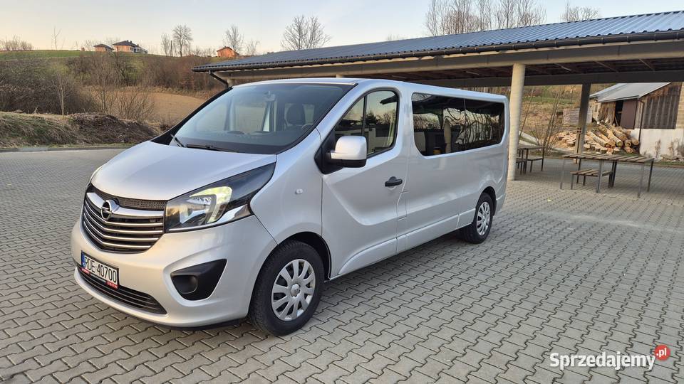 Opel Vivaro L2H1 29t Edition podkarpackie Dębica