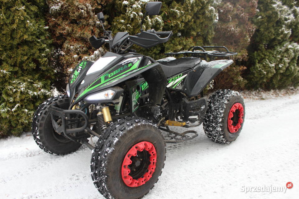 Quad 250 Cobra II 2021 przebieg 420 nieuszkodzony zachodniopomorskie Goleniów