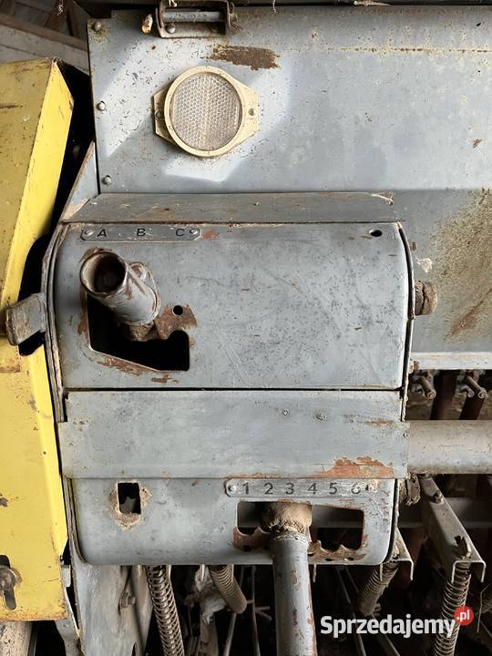 SIEWNIK POZNANIAK Guzy