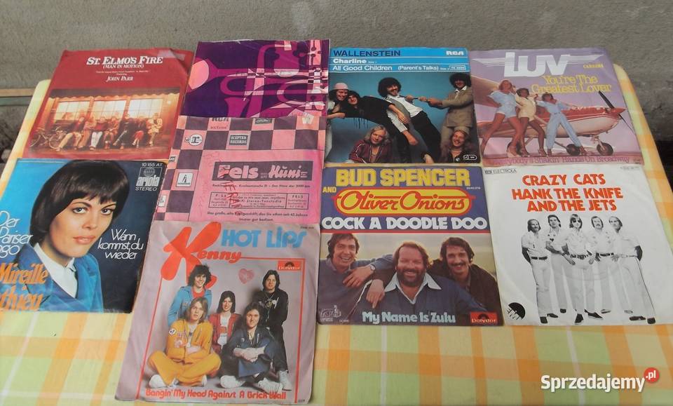 Płyty i Single Winylowe Sztuk 33 płyta winylowa Cieszyn