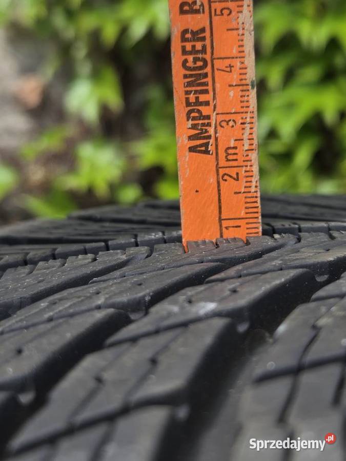 Michelin Pilot Alpin 5 29535 R20 105 W XL Pszczyna