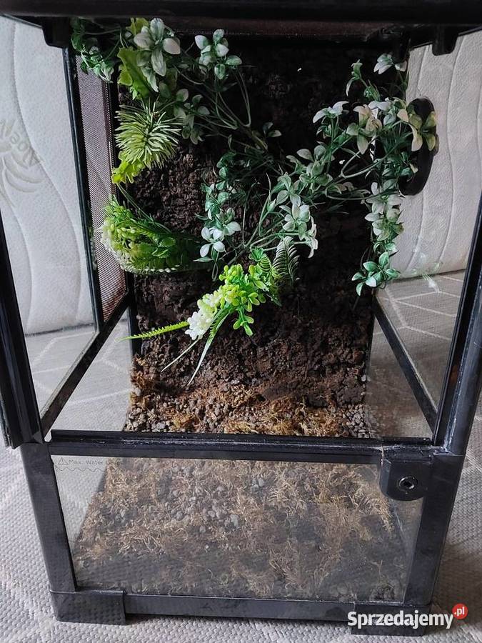 Terrarium mazowieckie Warszawa