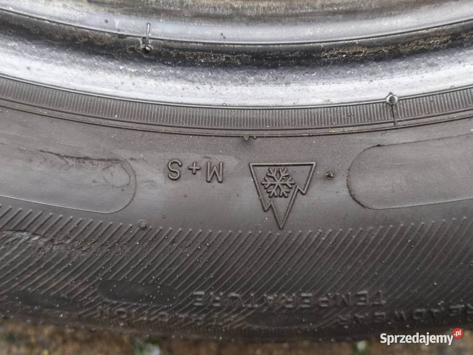 Opony 20555r16 Michelin 2019 wielosezonowe Pleszew