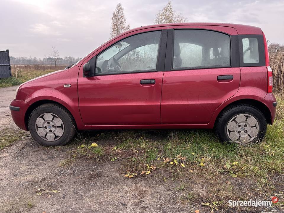 Fiat Panda Łódź