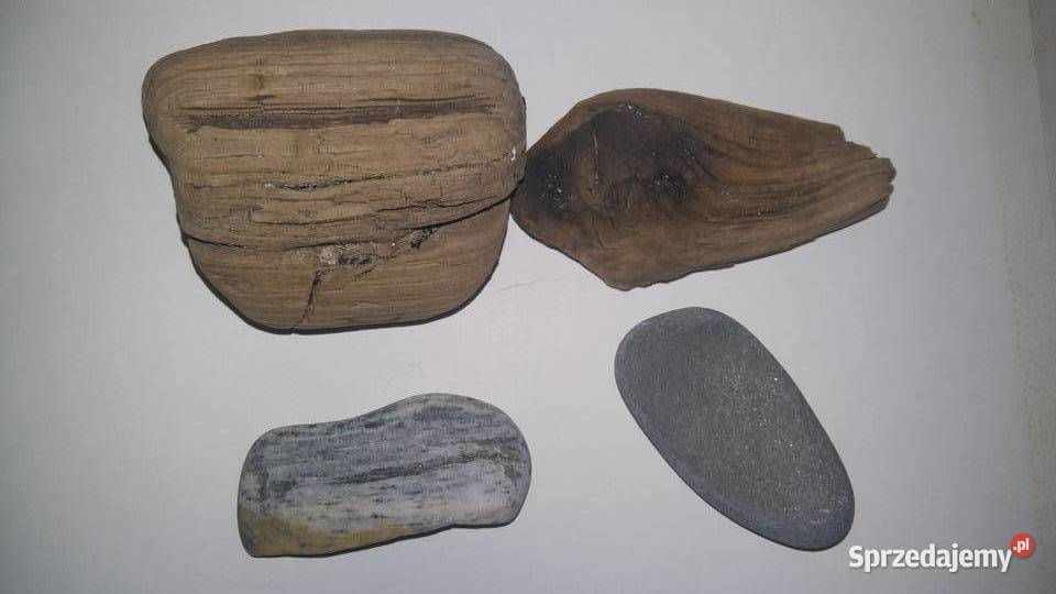 Akwarium 2 drewienka wodne i dwa płaskie kamyki Ryby łódzkie Łódź sprzedam