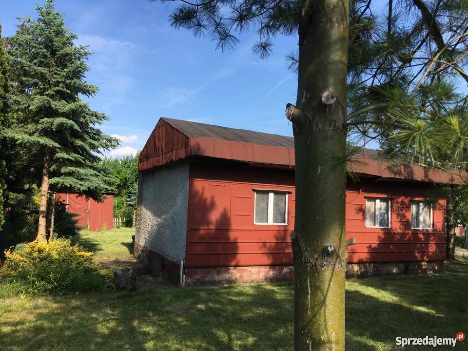 Działka rekreacyjna ROD Sierosław IV 431m2