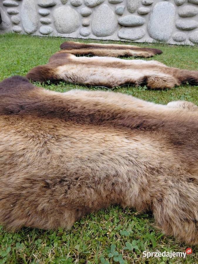 Skóra Owcza Naturalna Podpalana Futro Skóry