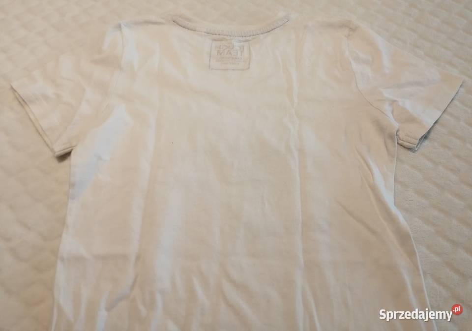 Koszulka krótki rękaw dinozaur cekiny 116 CA Czeladź