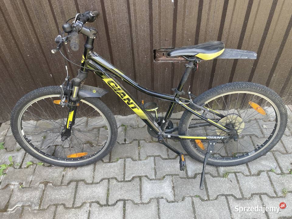 Rower 24 Giant XTC Jedlińsk