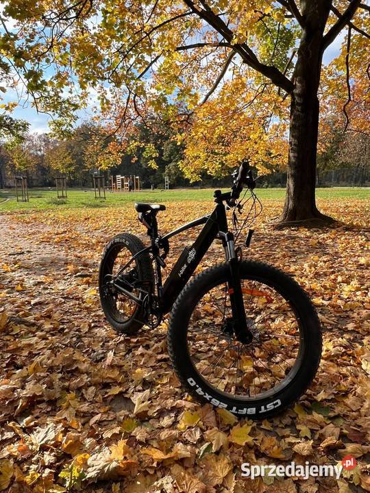 Rower elektryczny IBIKE Snow M17 26 Czarny Poznań