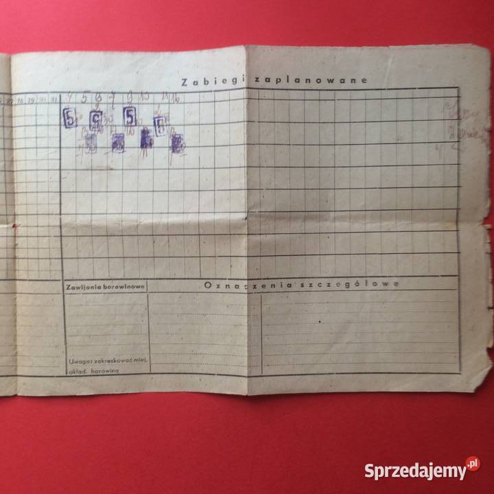 1671 Przepis Leczniczy Józefowicz zachodniopomorskie Szczecin