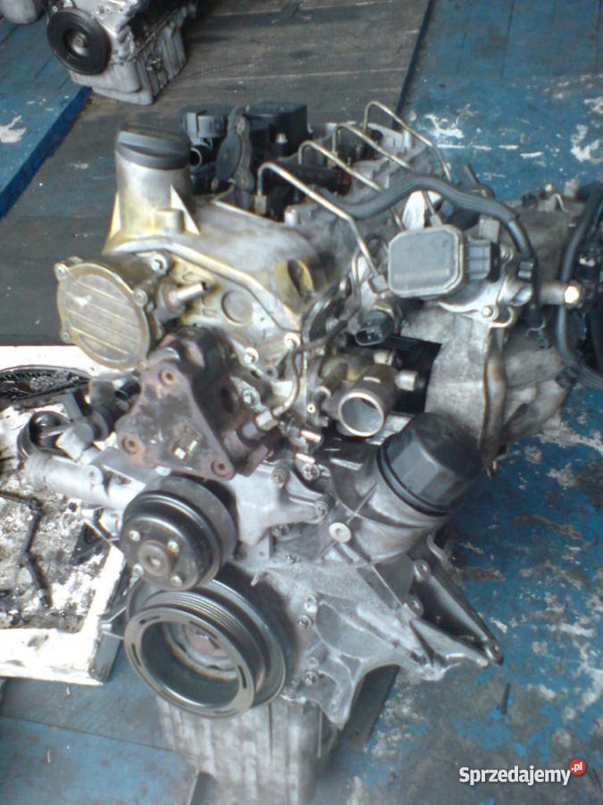 silnik mercedes sprinter 646 986 22 cdi 2008 r 0 diesel Włocławek