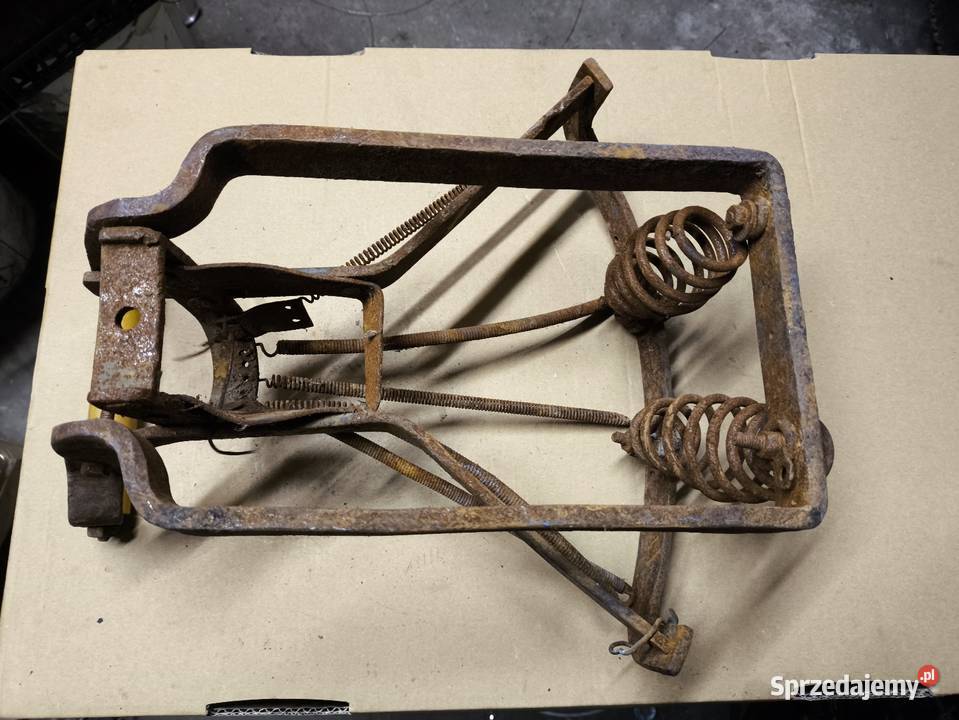 Siedzenie stelaż pasażera dkw bsa terrot nsu shl podkarpackie Lutoryż sprzedam