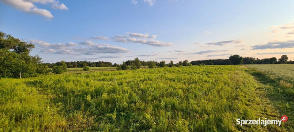 DZIAŁKA NA GRANICY ŁODZI Z POZWOLENIEM NA BUDOWĘ Leśne Odpadki sprzedam