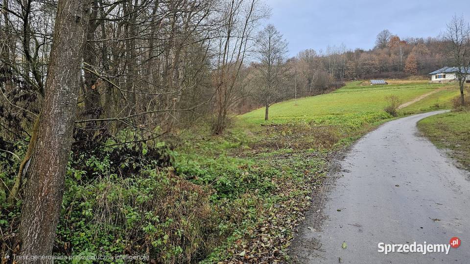 Działka 17a Domaradz