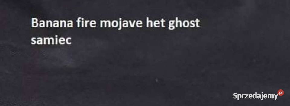 Pytony królewski samica samiec kujawsko-pomorskie sprzedam