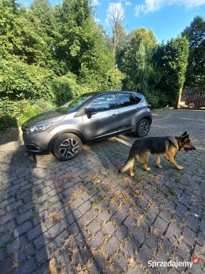 renault captur 09 2017 Sułkowice