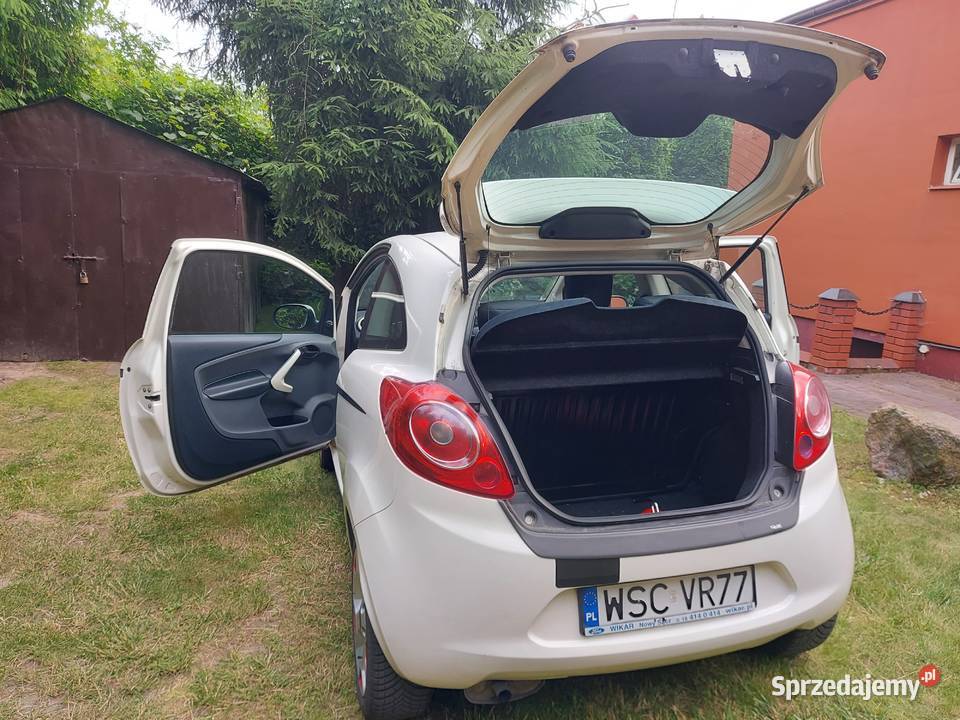 JEDYNY TAKI W POLCE FORD KA KA sprzedam