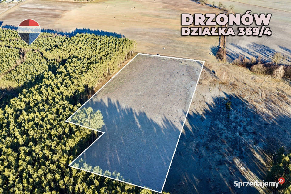 Na sprzedaż działka inwestycyjna 24900m2 Drzonów