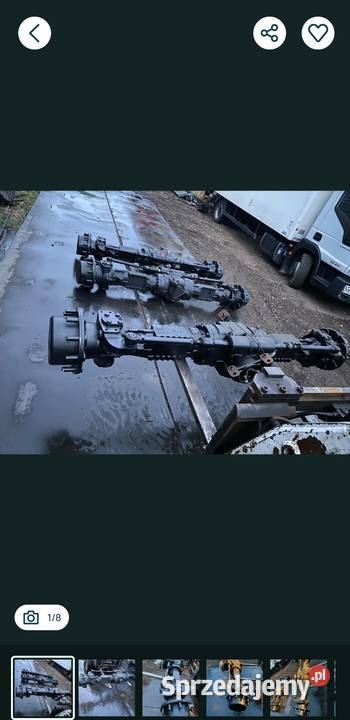 Mosty Most Cat Catterpillar Myszków