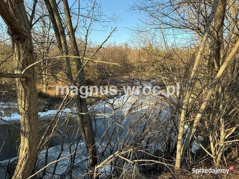 Oferuję działke rolną Bystrzycą w Jerzmanowie