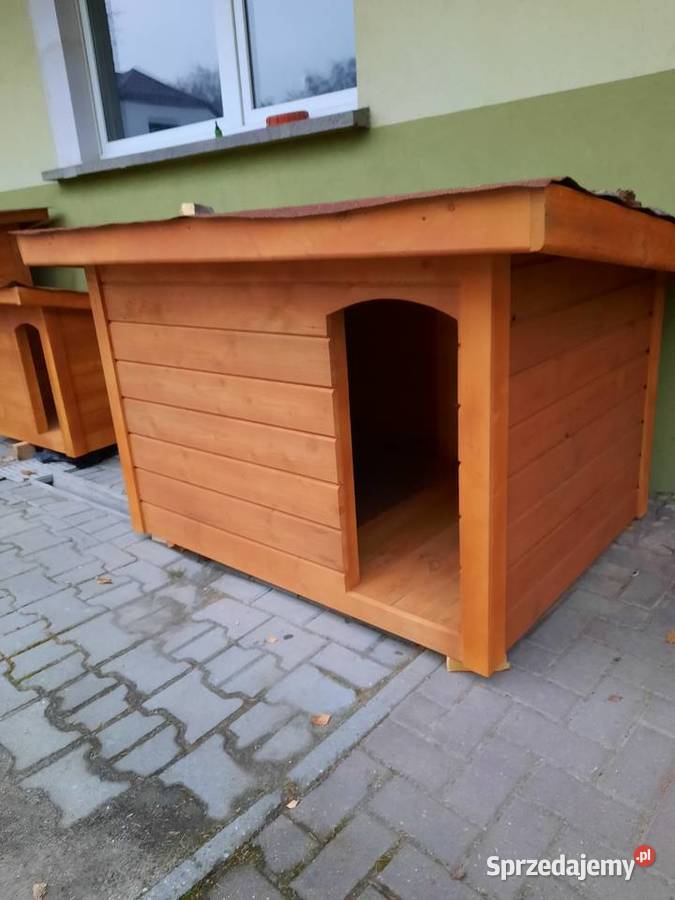 Budy pieska Wodzisław Śląski