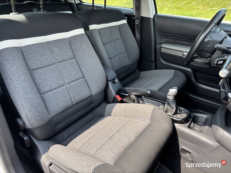 Citroen C4 Cactus I rej 2019 Salon I właściciel Hatchback warmińsko-mazurskie Iława