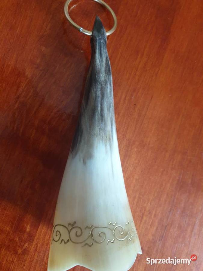 Ozdobny róg myśliwski 17